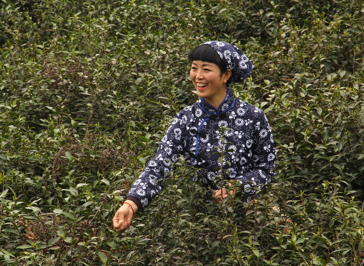 恋爱喜剧